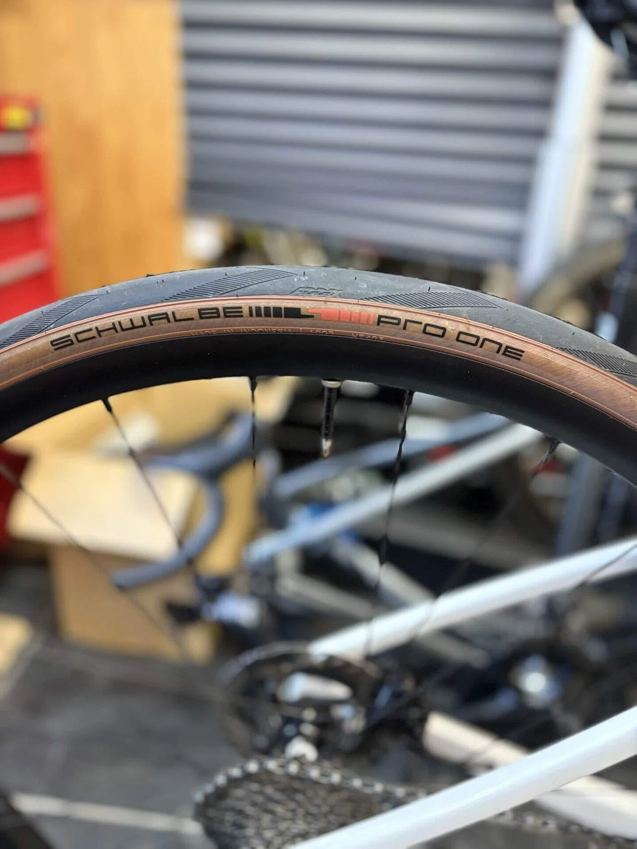 SCHWLBE PRO ONE（シュワルベ プロ ワン）インプレッション｜サンクス