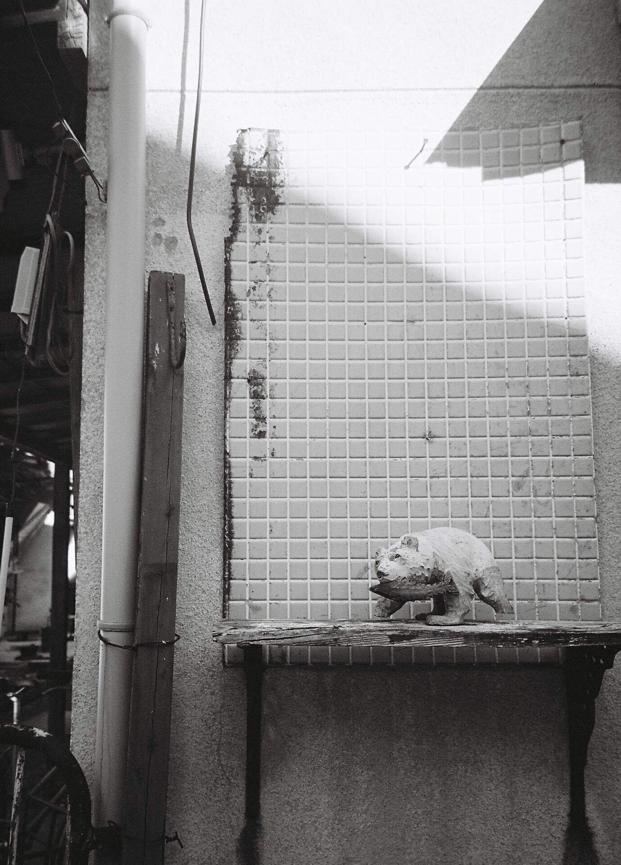 CONTAX Tvs #143｜motokicks