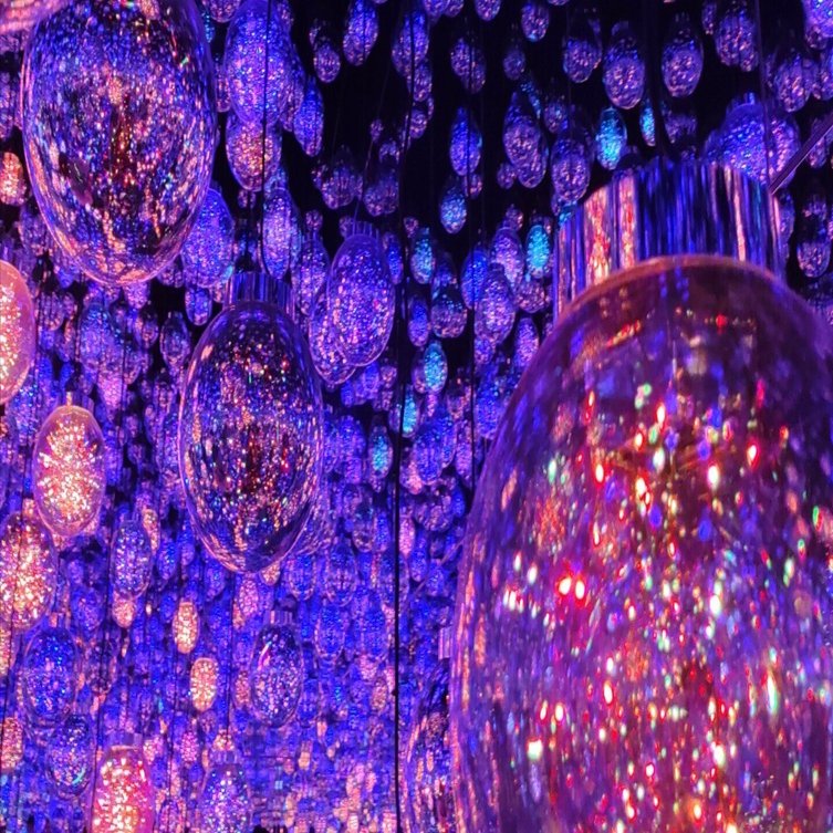 お出掛け】デジタルアート体験「チームラボ」｜コンパクトなくらし