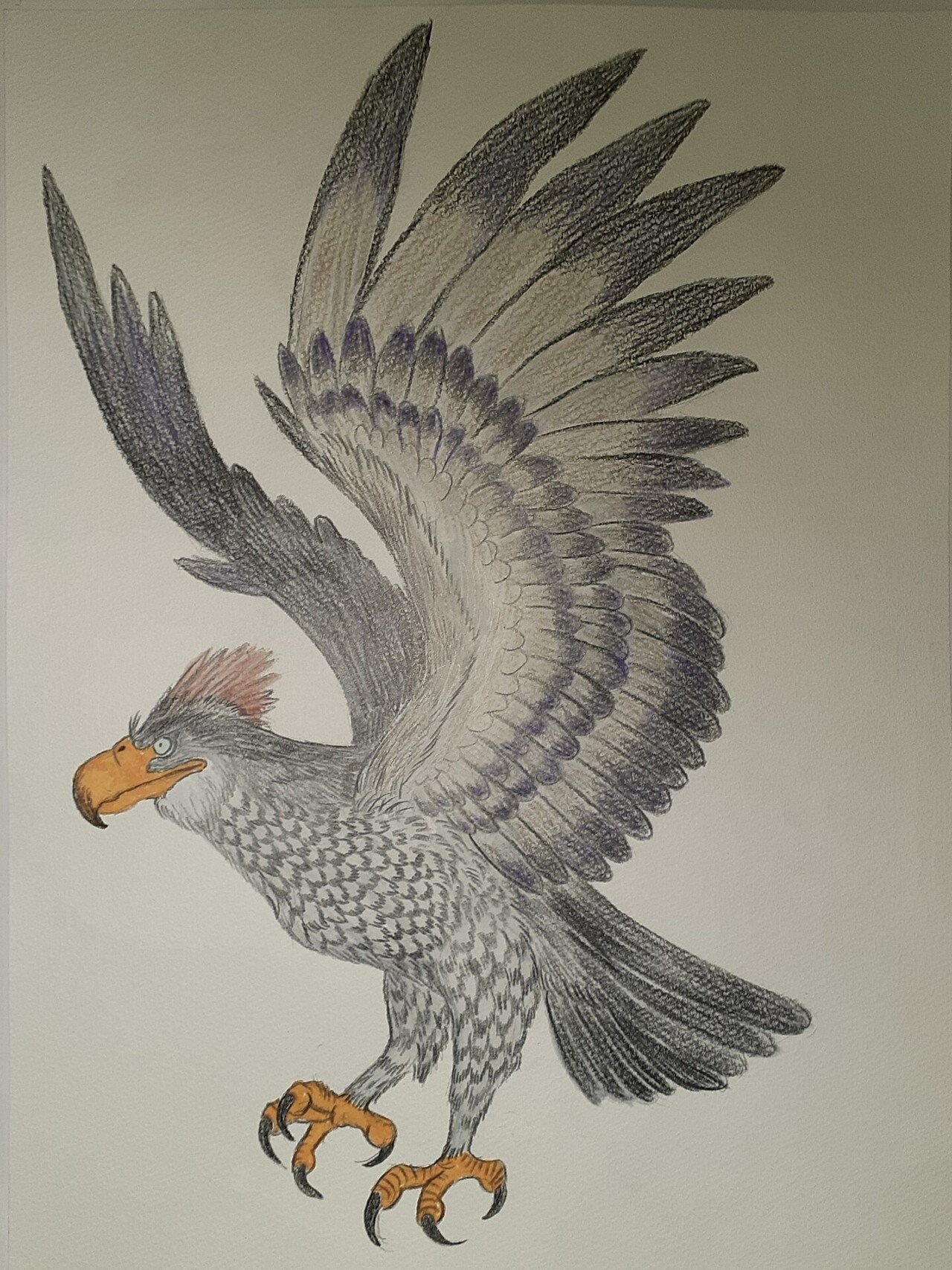 イラスト】ハーストイーグル｜TechpanCreate（テクパン