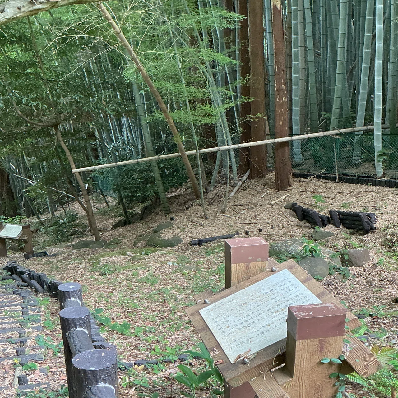 鎌倉歴史歩き《特別篇2》梶原一族、最期の闘い Part 1｜遠州市場屋