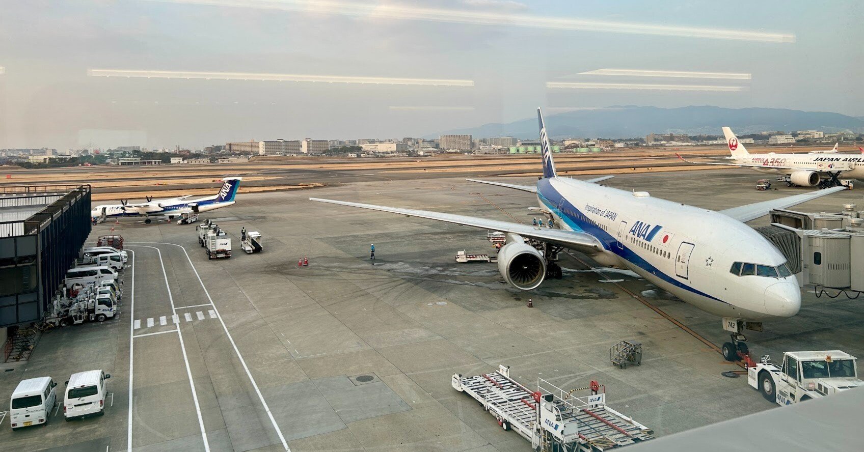 2025年SFC修行まとめ｜旅犬