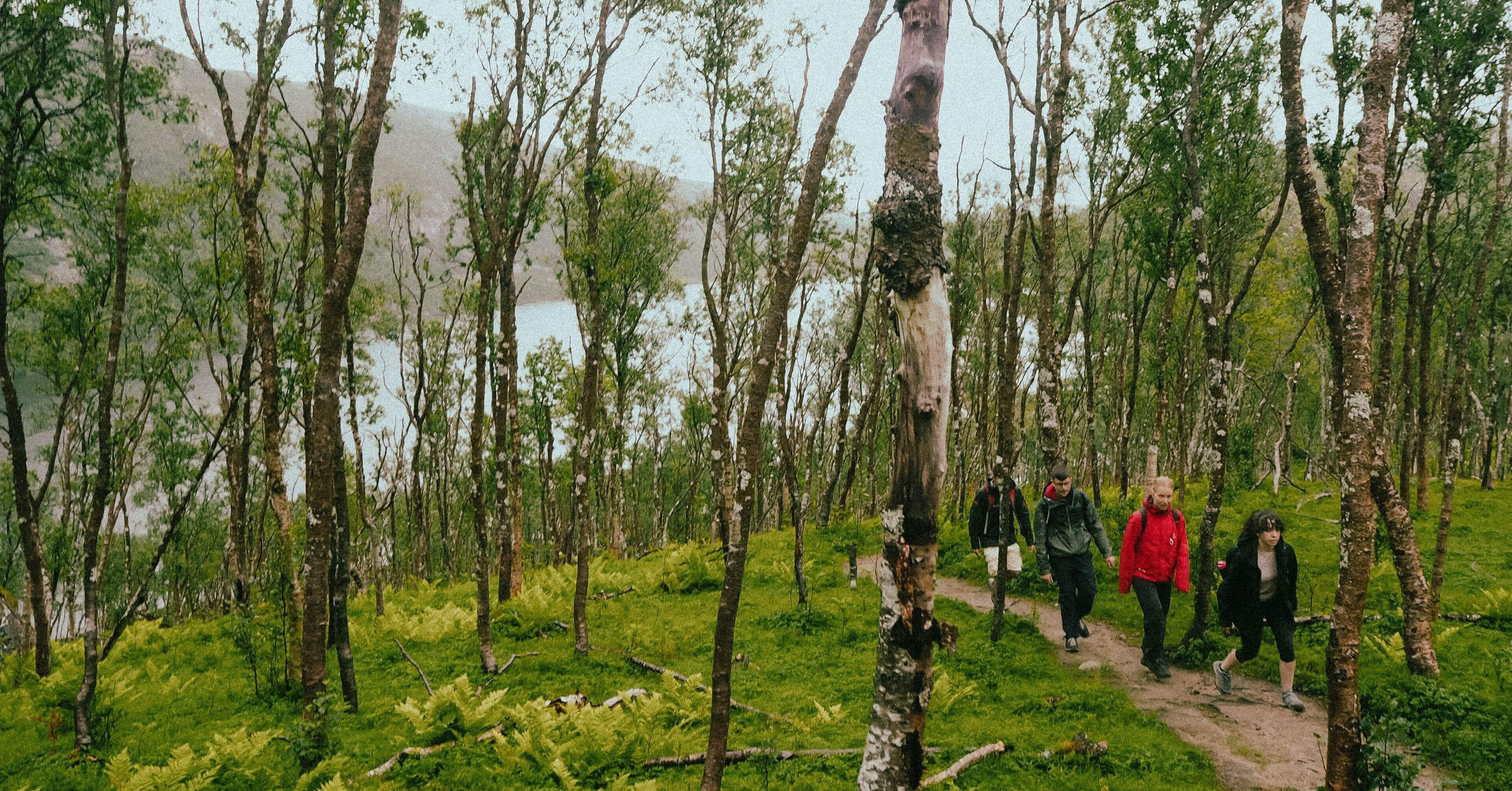 ノルウェイの森を歩く-ノルウェー留学記③｜mio 北欧留学記🇳🇴