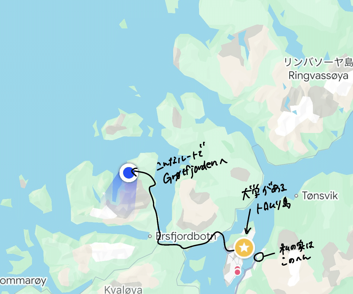 ノルウェイの森を歩く-ノルウェー留学記③｜mio ZINEフェス3/8出店