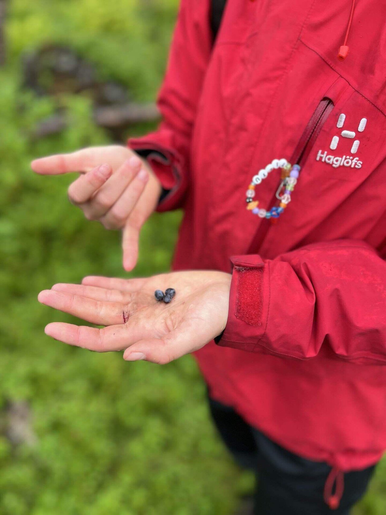 ノルウェイの森を歩く-ノルウェー留学記③｜mio ZINEフェス3/8出店