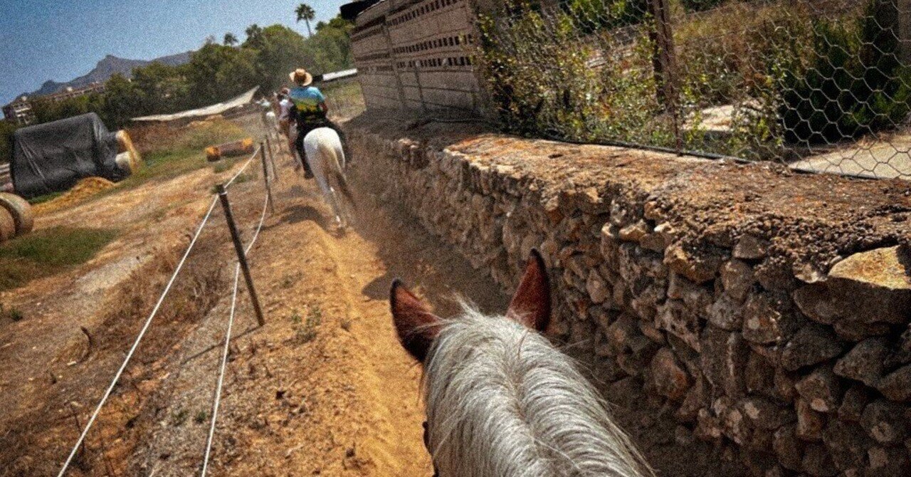 日記 マヨルカ島アルクィーダ｜ねこさか はる
