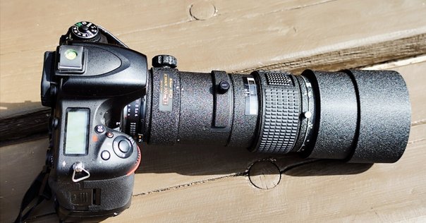 機材レビュー】Nikon D7100｜鷺