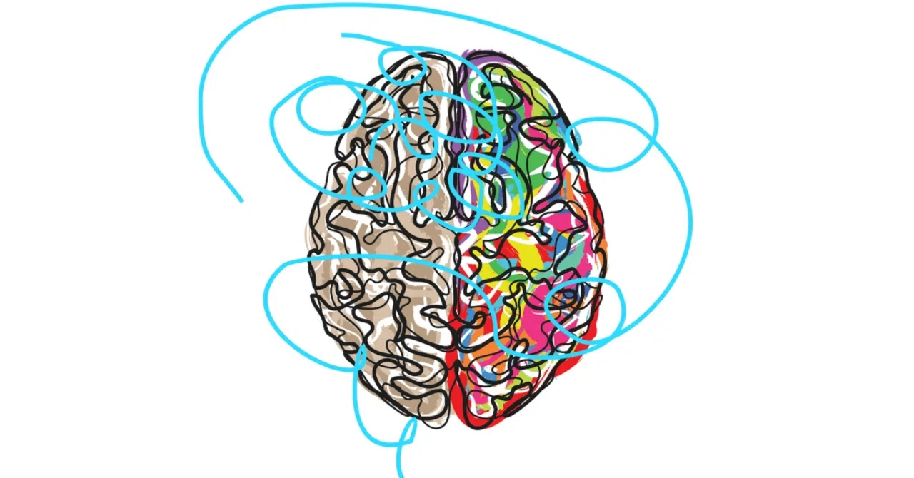 The Full Picture of Human Types = A Conceptual Formula for Universal ...