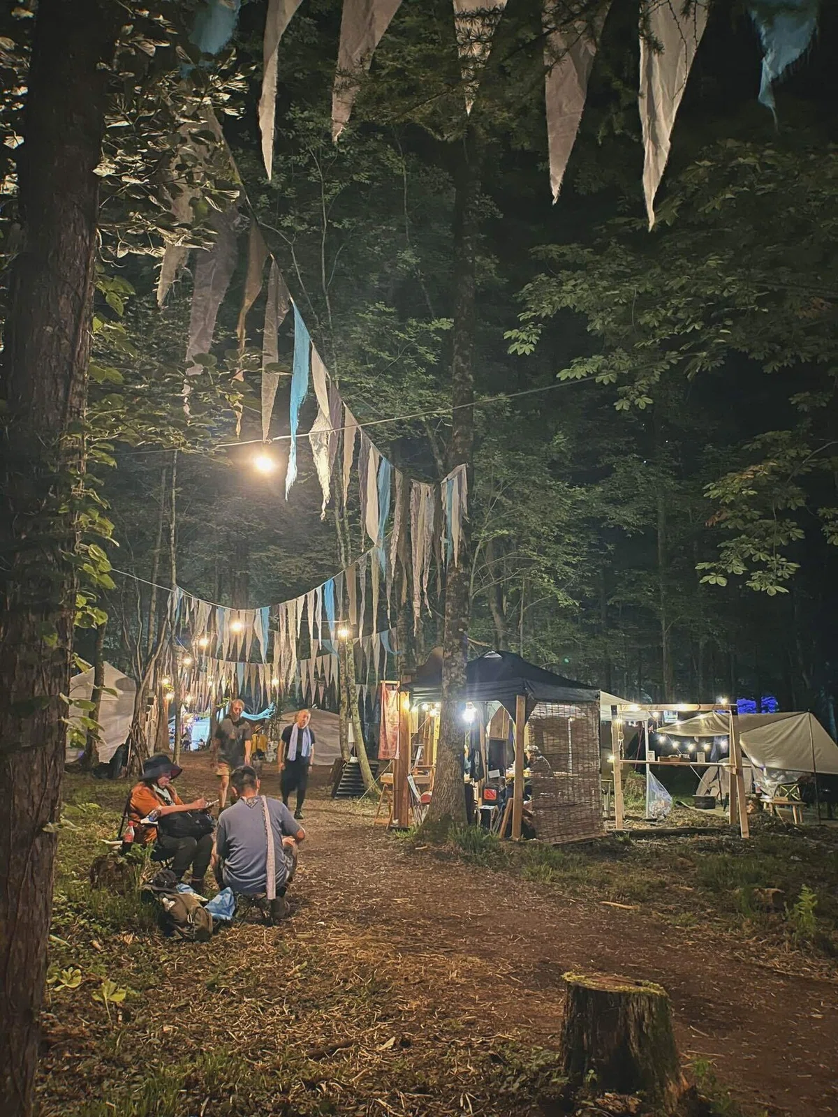 夜のフジロックの写真