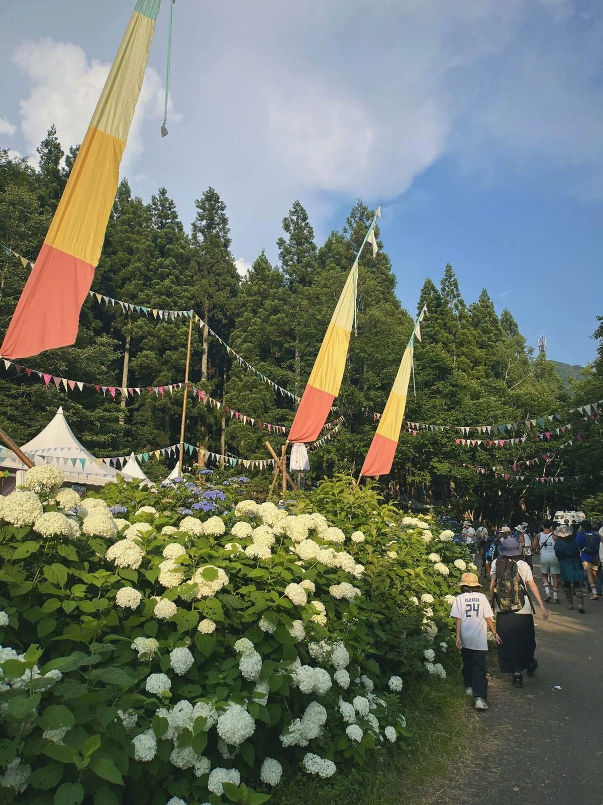 キッズランドの前で咲く紫陽花の写真