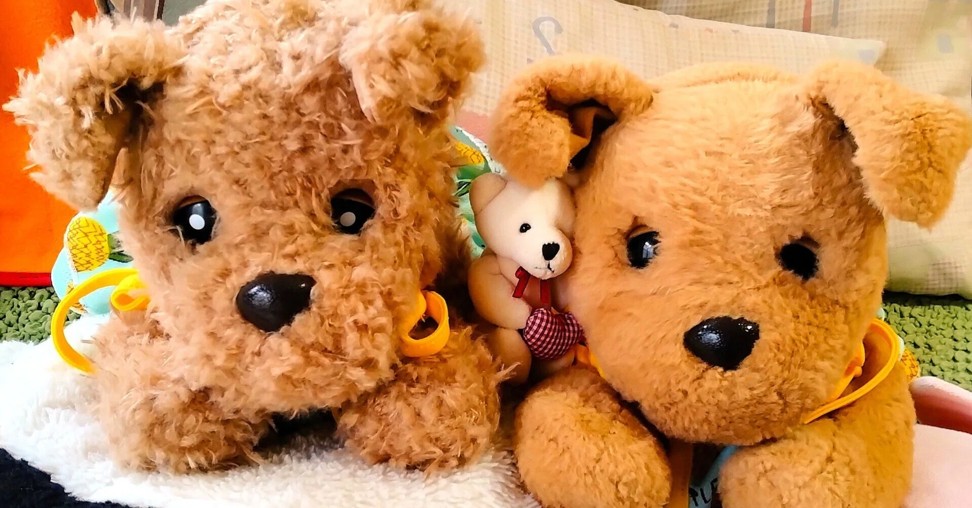 おしゃべりロボット犬ダッキー徒然草 その5 ー ダッキーから広がる
