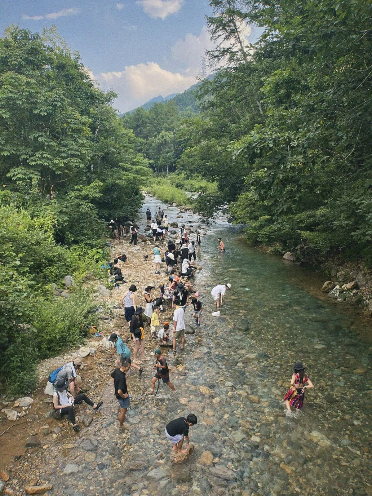 フジロックフェスティバルでの浅貝川の写真