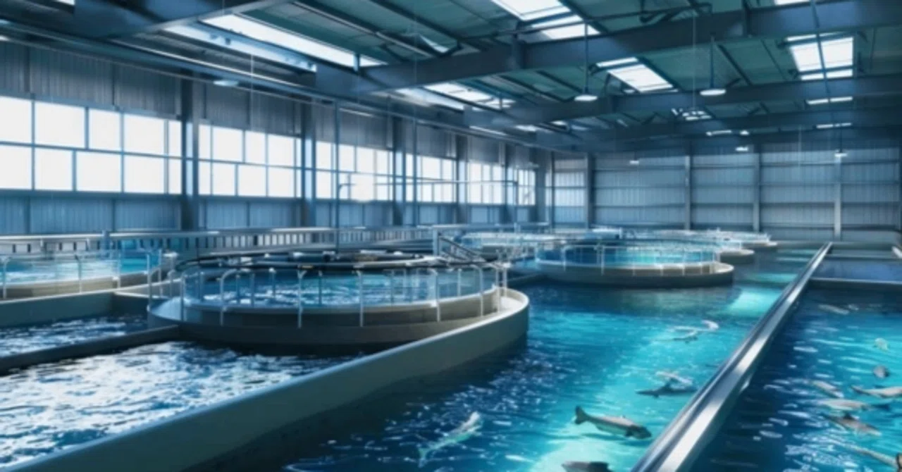 養殖の2つのタイプ。陸上養殖と海面養殖、設備や期待効果の違いを解説｜Innovation Hub, CAC group