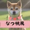 なつ帆房
