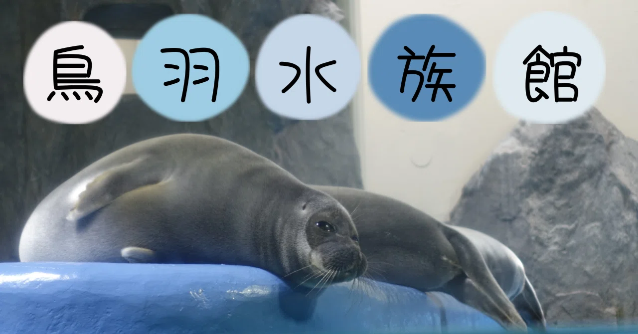 鳥羽水族館】国内唯一のラッコを鑑賞する方法｜大人デートにもおすすめ