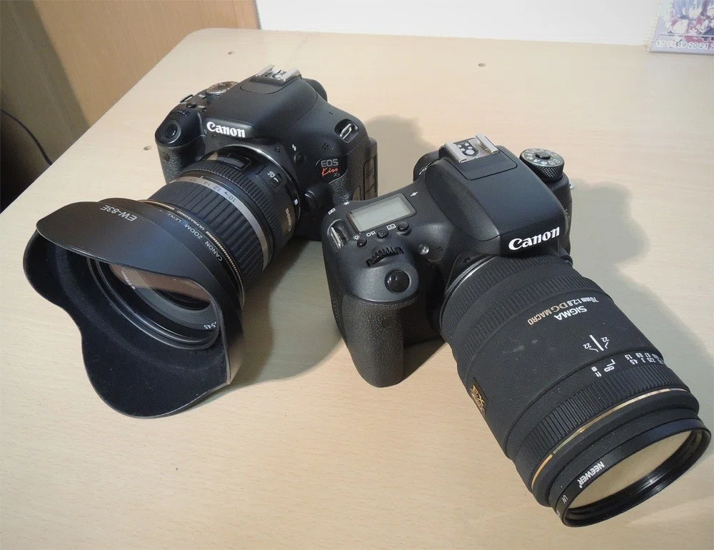 Canon EOS 8000D (2015年～)｜シュワイPのブログ