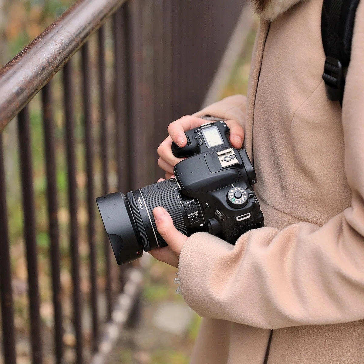 Canon EOS 8000D (2015年～)｜シュワイPのブログ