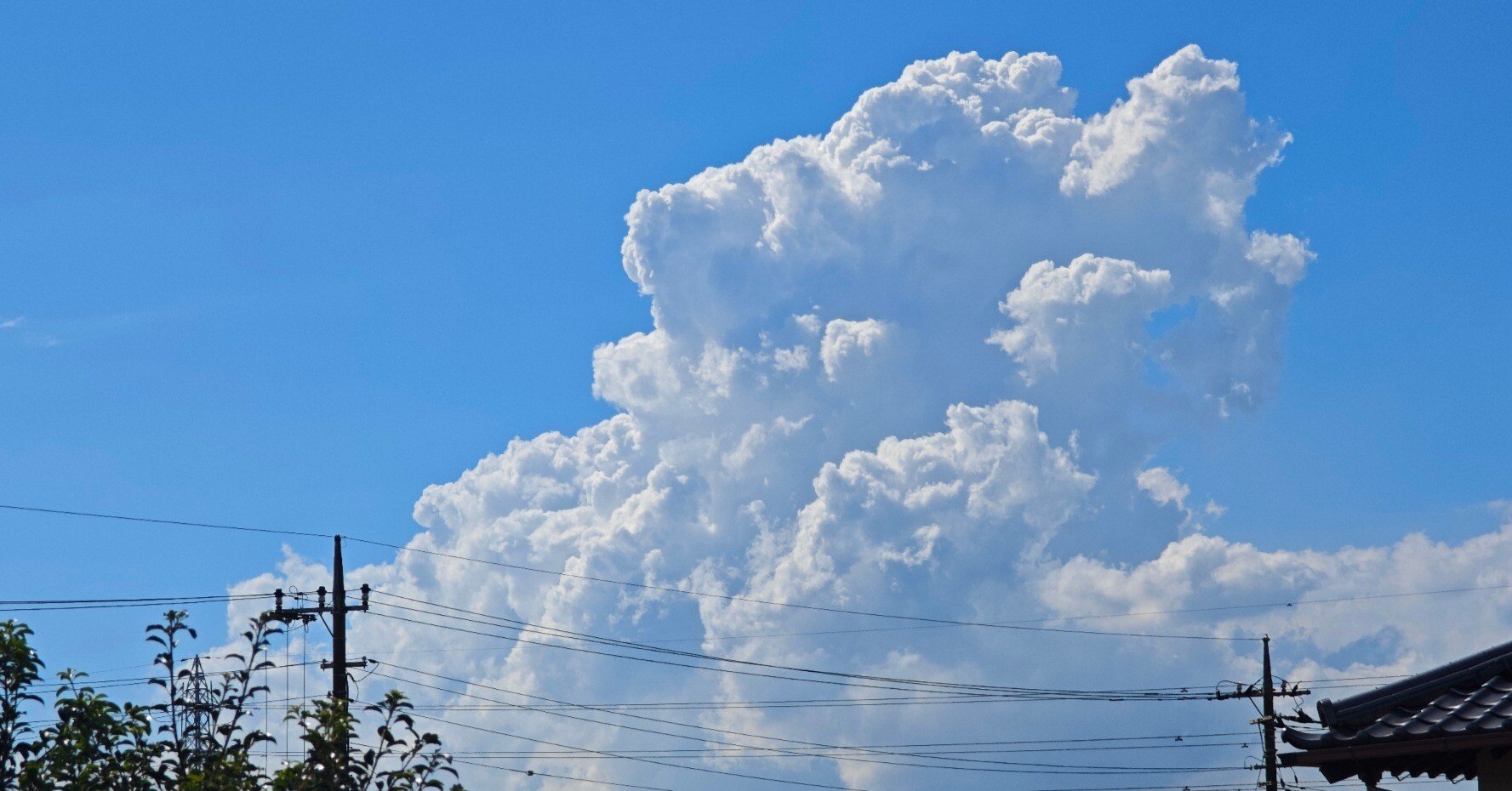 2025年8月8日 夏の雲｜ジョイフル