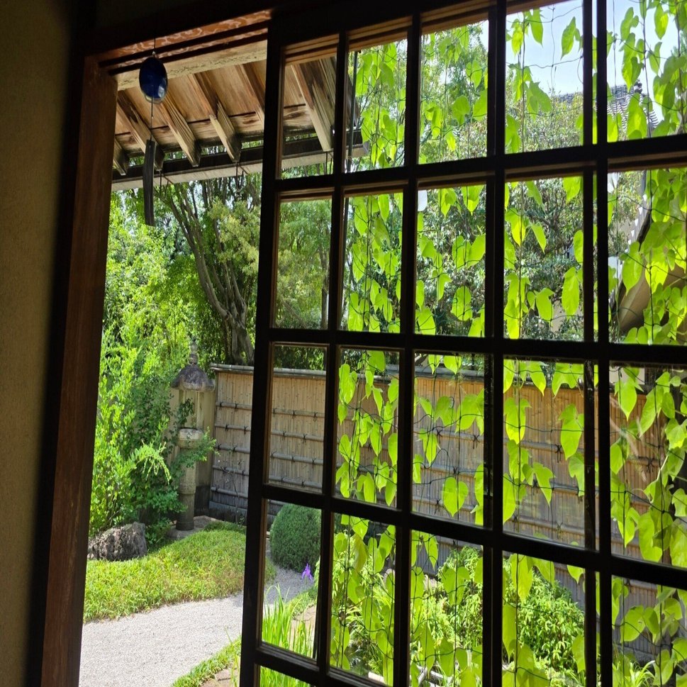 石田波郷全集 第一巻 俳句Ⅰ 『鶴の眼』を読む。｜卯月紫乃