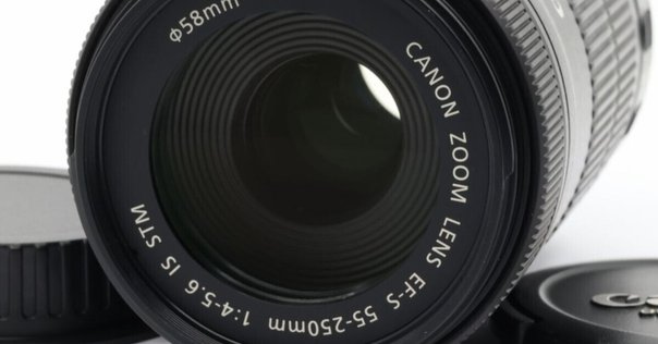 Canon RF100-300mm F2.8 L IS USM レンタル：望遠レンズといえば