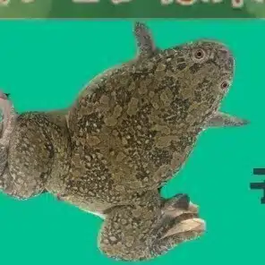 東京大学新領域創成科学研究科メディカル情報生命専攻情報生命科学群