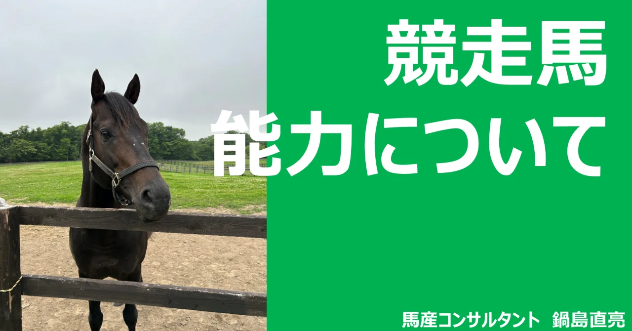 【期限切れ単複馬券】メイクデビュー京都　ブエナビスタ　2008/10/26 ☆JRA馬☆様 リクエスト 10点 まとめ商品 期限切れ単複馬券】メイク