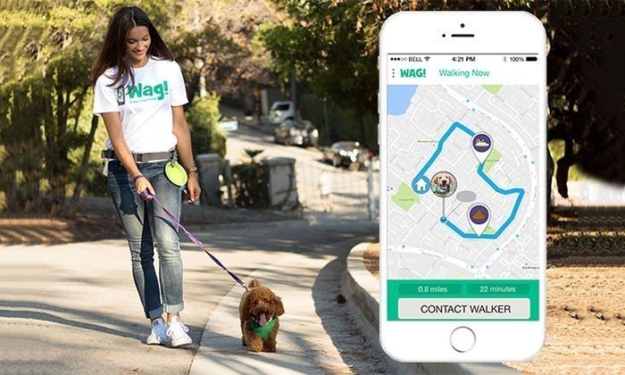 ニューヨークでは定番化のペット テック 犬の散歩版のuber Wag はなぜみんな使うのか テテマーチny情報局 ニューヨークアンテナ中の人 Note ニューヨークでは定番化のペット テック 犬の散歩版のuber Wag はなぜみんな使うのか テテマーチny情報局 ニューヨークアンテナ中の人 Note