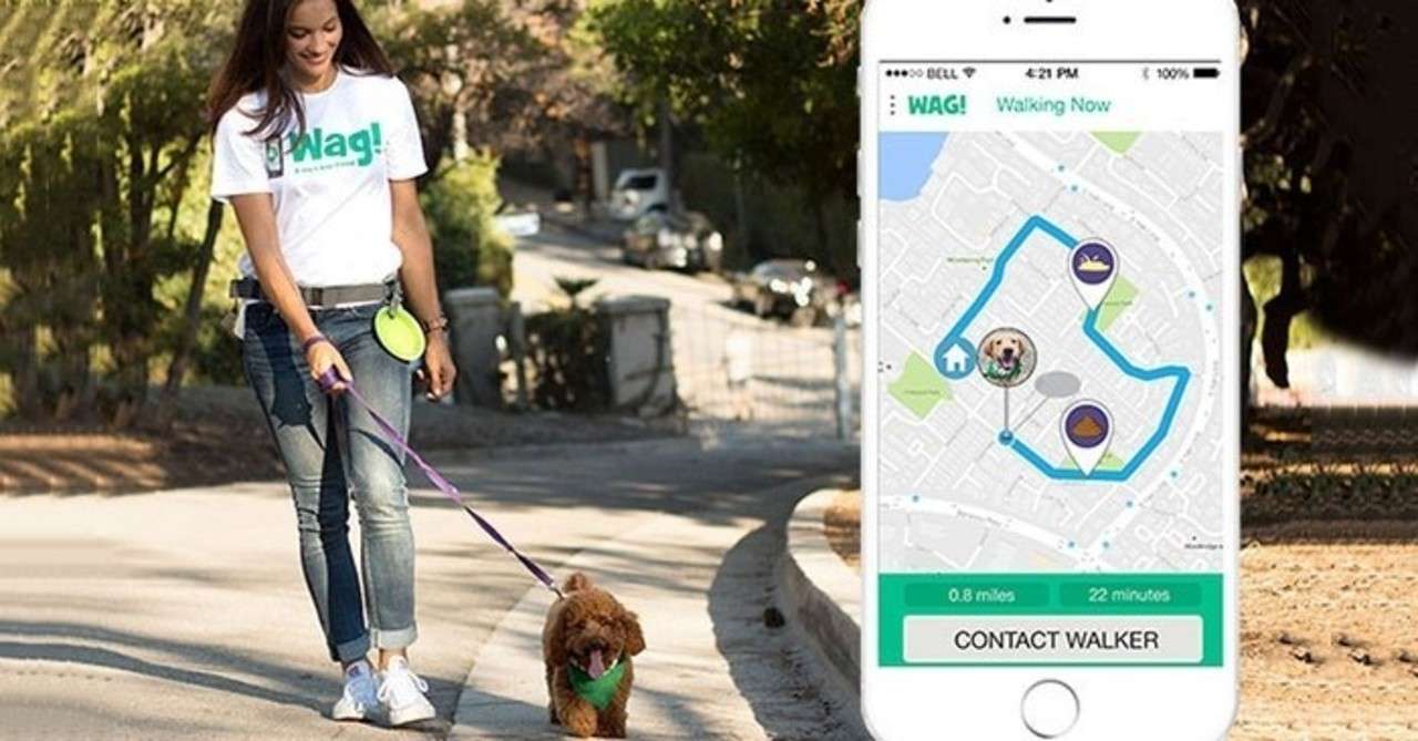 ニューヨークでは定番化のペットテック 犬 の散歩版のuber Wag はなぜみんな使うのか テテマーチny情報局 ニューヨークアンテナ中の人 Note