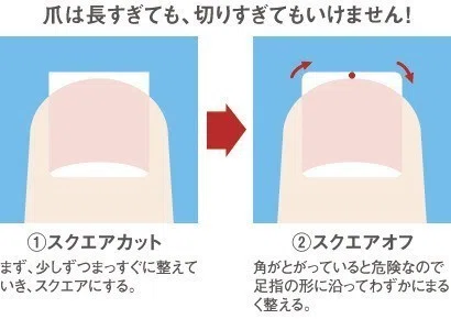 基本看護技術 のポイント あんず Note