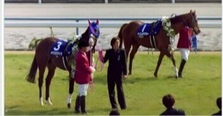 馬のメモ帳　　アーモンドアイ&ワグネリアン 馬のメモ帳 アーモンドアイ&ワグネリアン