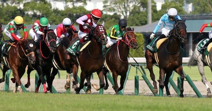 2025👑8👑9《土》【👑特SSS🐴激アツ万券勝負レース👑】🔥中京