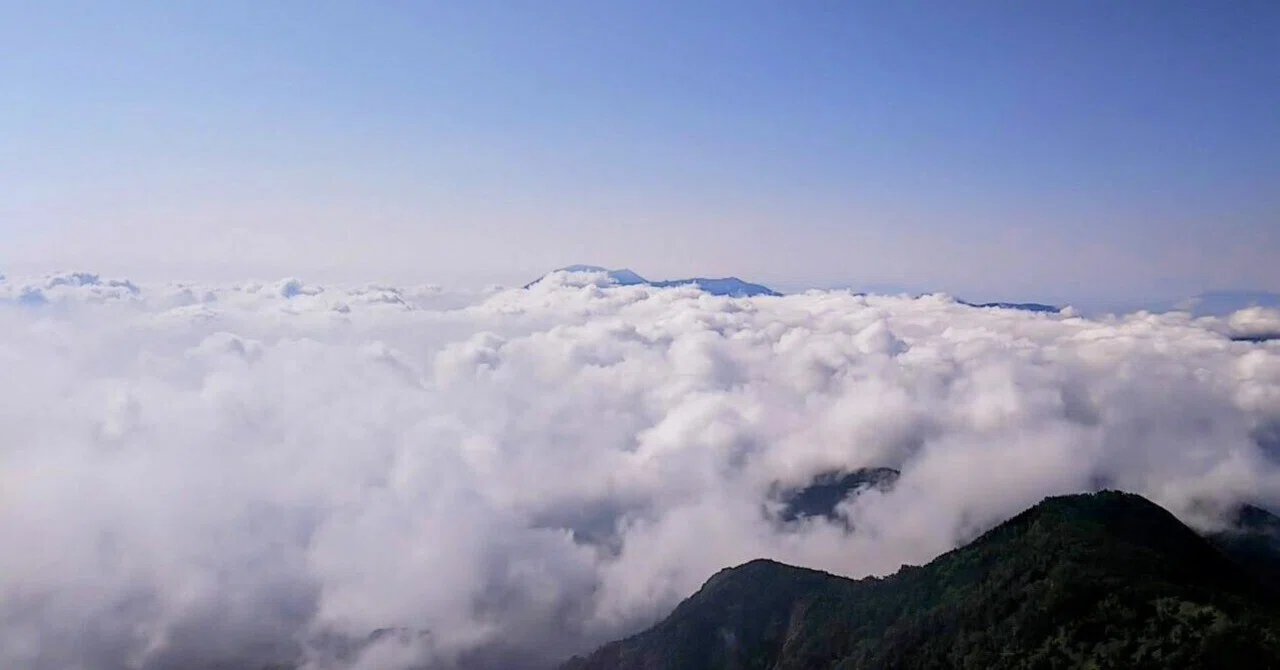 四阿山｣(2354m)【深田久弥の「日本百名山」を歩く】｜水谷俊樹