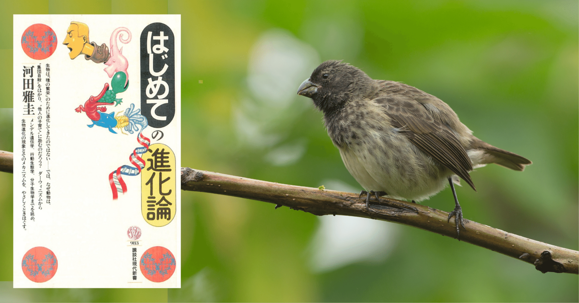 ラマルクと進化論 Amazon.co.jp: 生命のニューサイエンス: 形態形成場と行動の進化