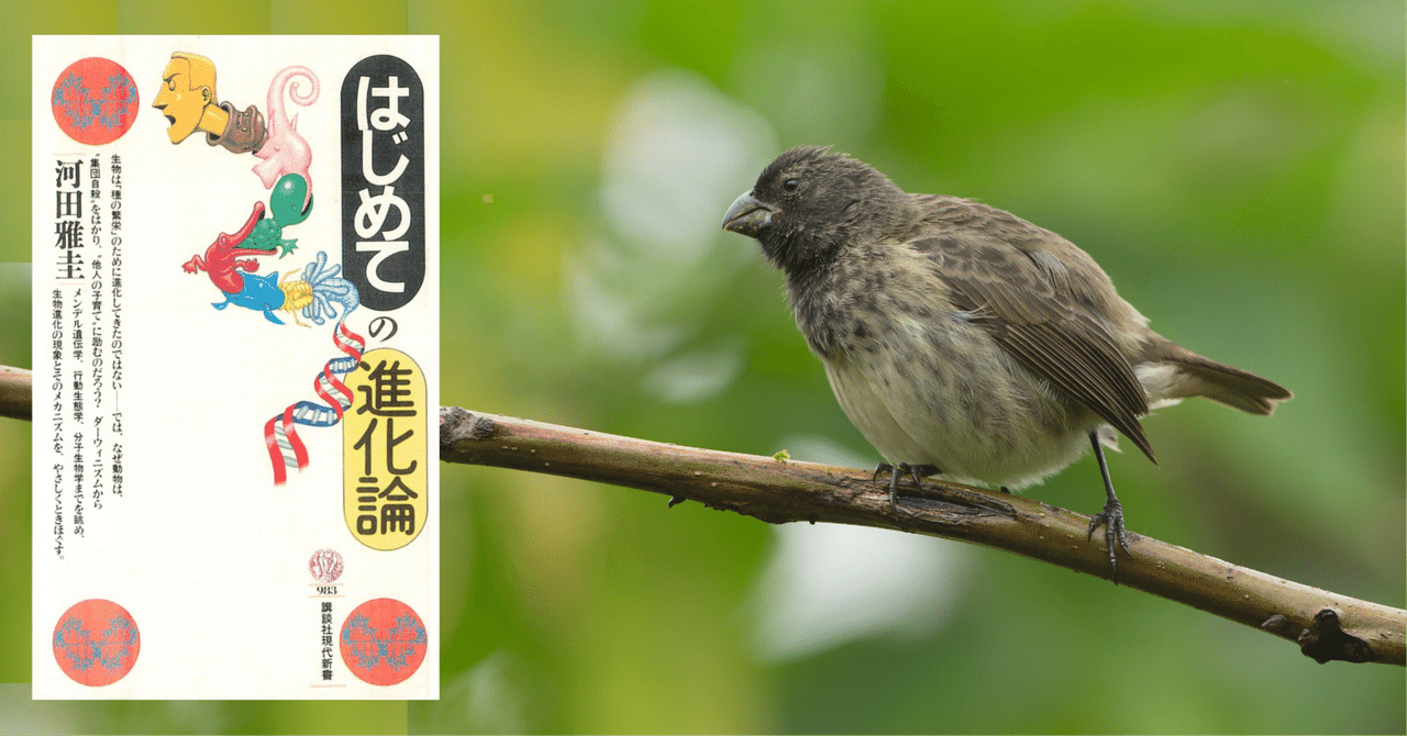 はじめての進化論 [2025年注釈付]｜河田 雅圭