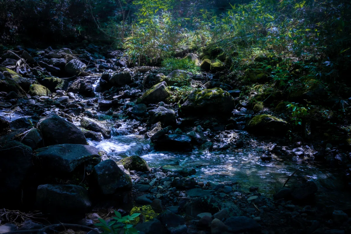 [Gunma Trip Part 2] The Beautiful Wetlands of 