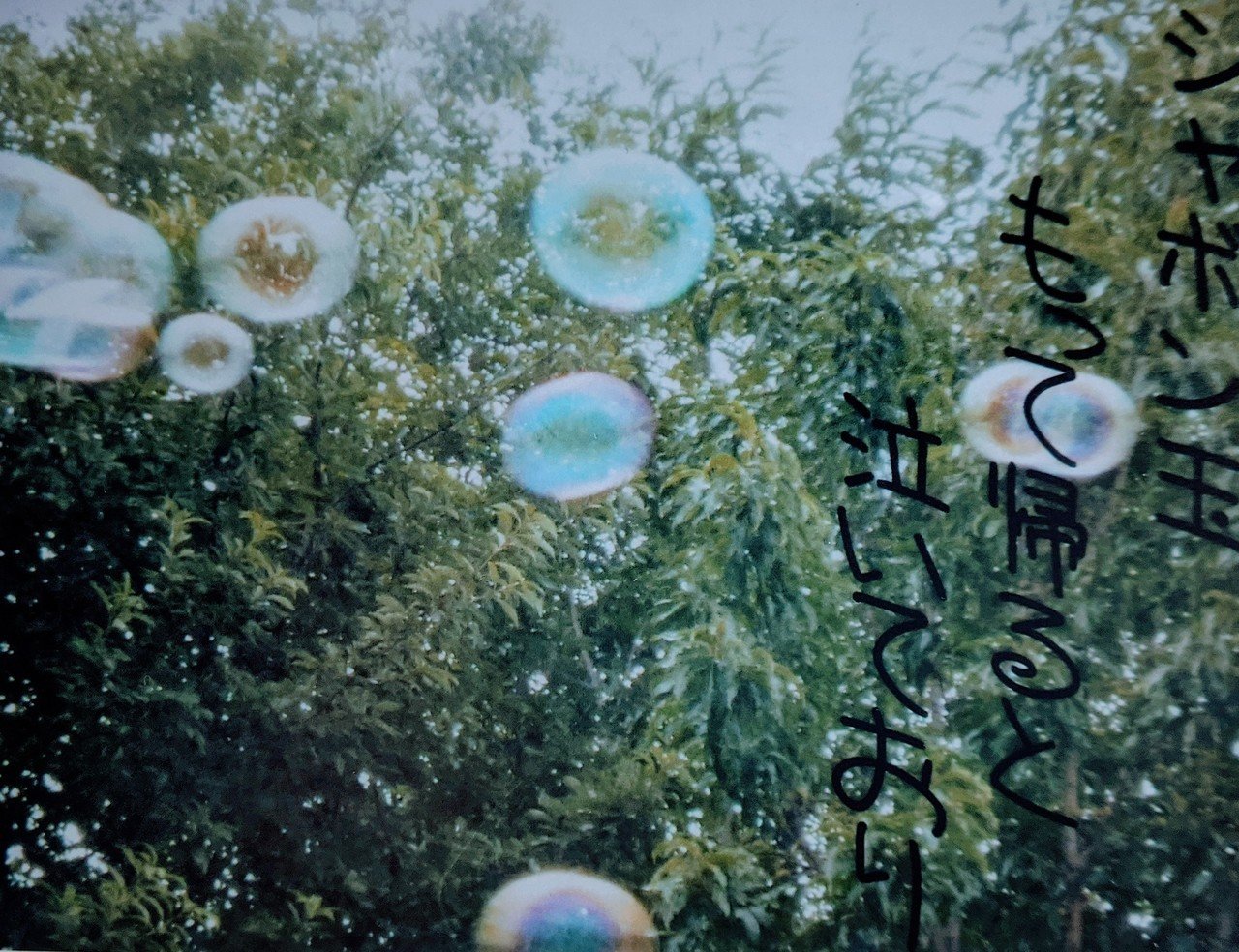 シャボン玉の写真で一句 柘榴 Note