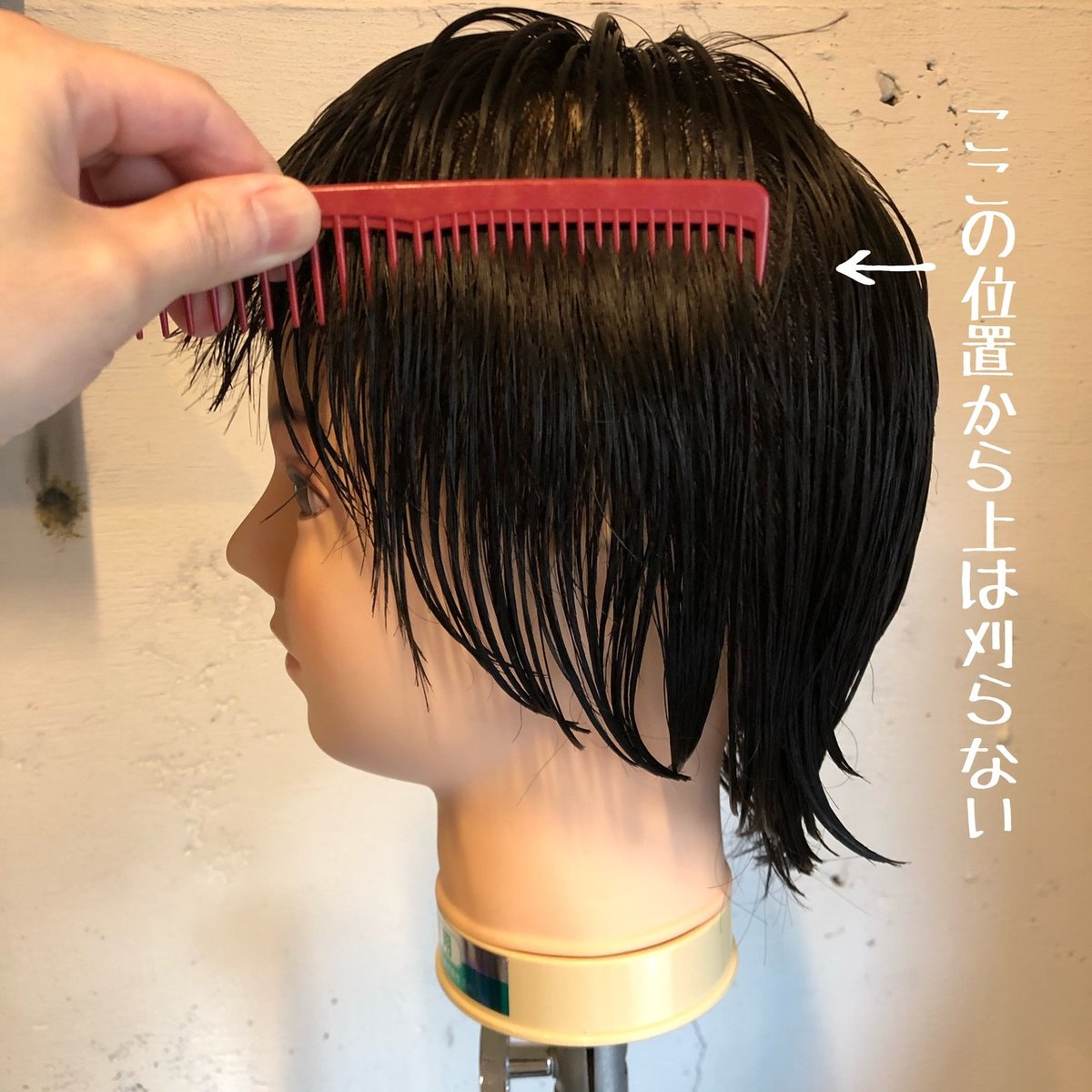 美容師国家試験 カットウィッグ ペーパーハウス等