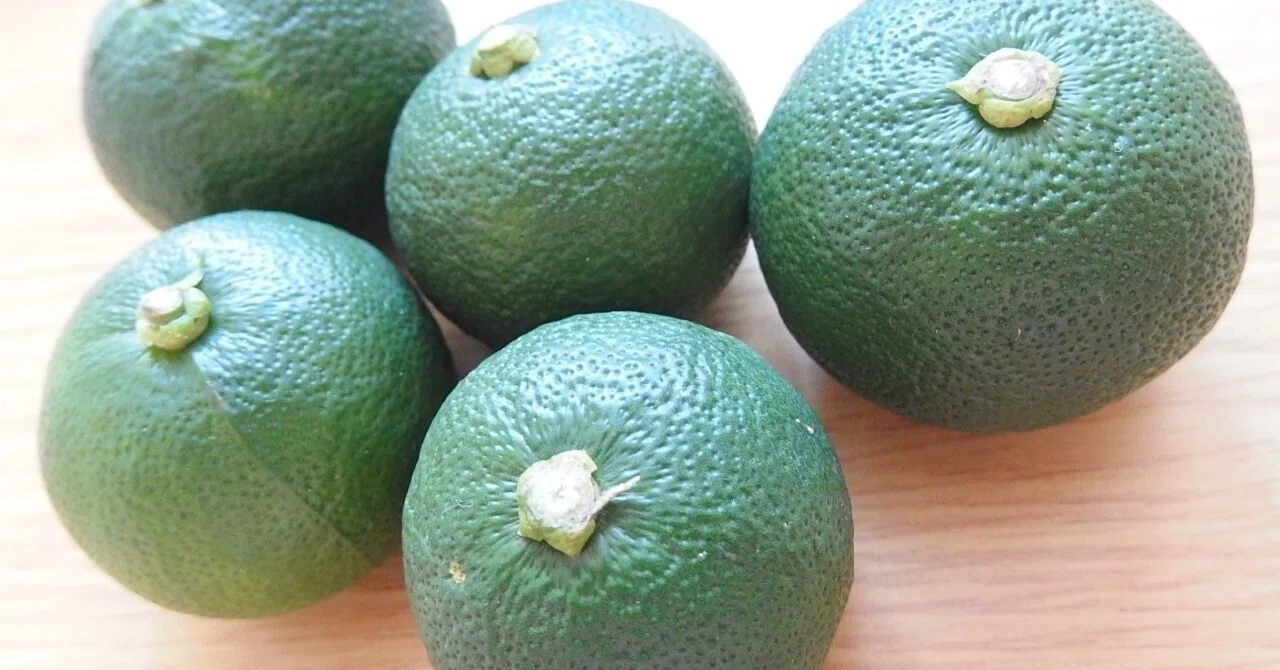 徳島の宝「すだち」:爽やかな香りと酸味で食卓を彩る香酸柑橘|天パ!のたありえ日記(徳島の観光&グルメ深掘り調査隊)