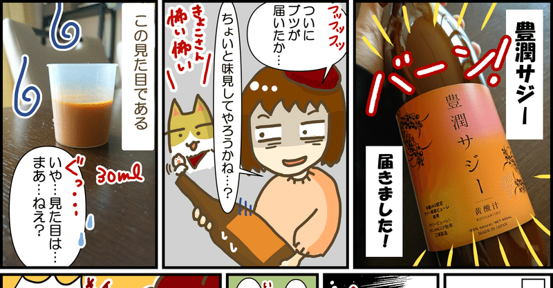 豊潤サジー飲んでみた 我が家にサジーがやってきた さて そのお味は きょこは続けられるのか きょこ 漫画家 Apdだけど楽しく生きてます 仮 21年刊行予定 Note
