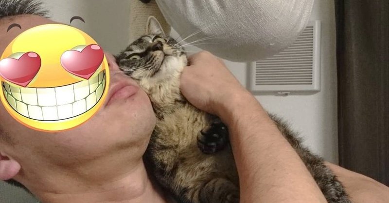 ムキムキマッチョをメロメロにする猫魅力 やま ふじこ Note