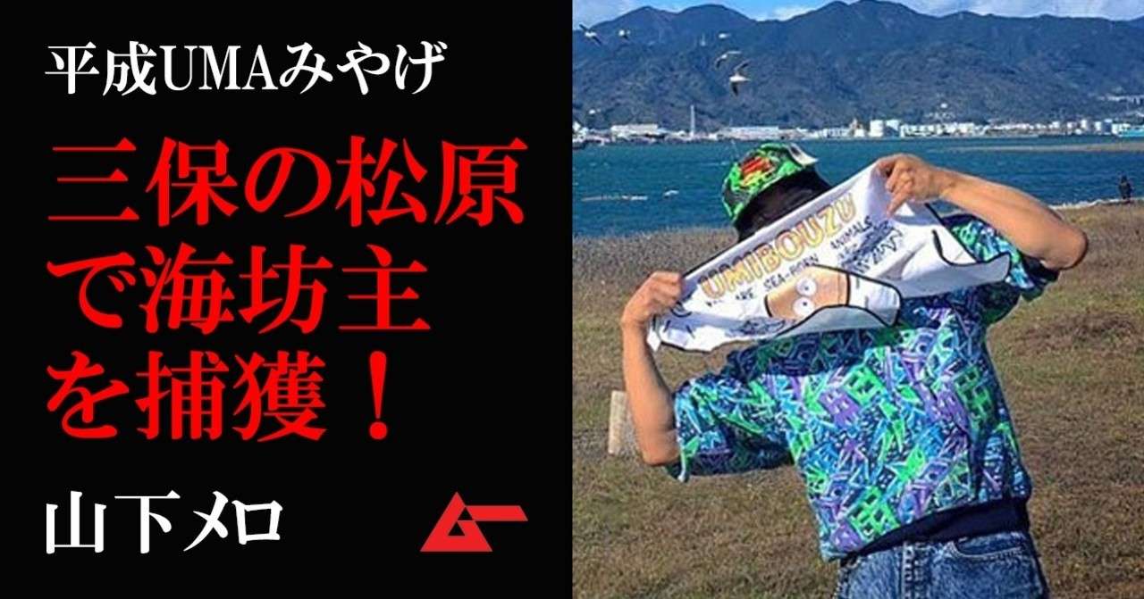 平成UMAみやげ三保松原海坊主top