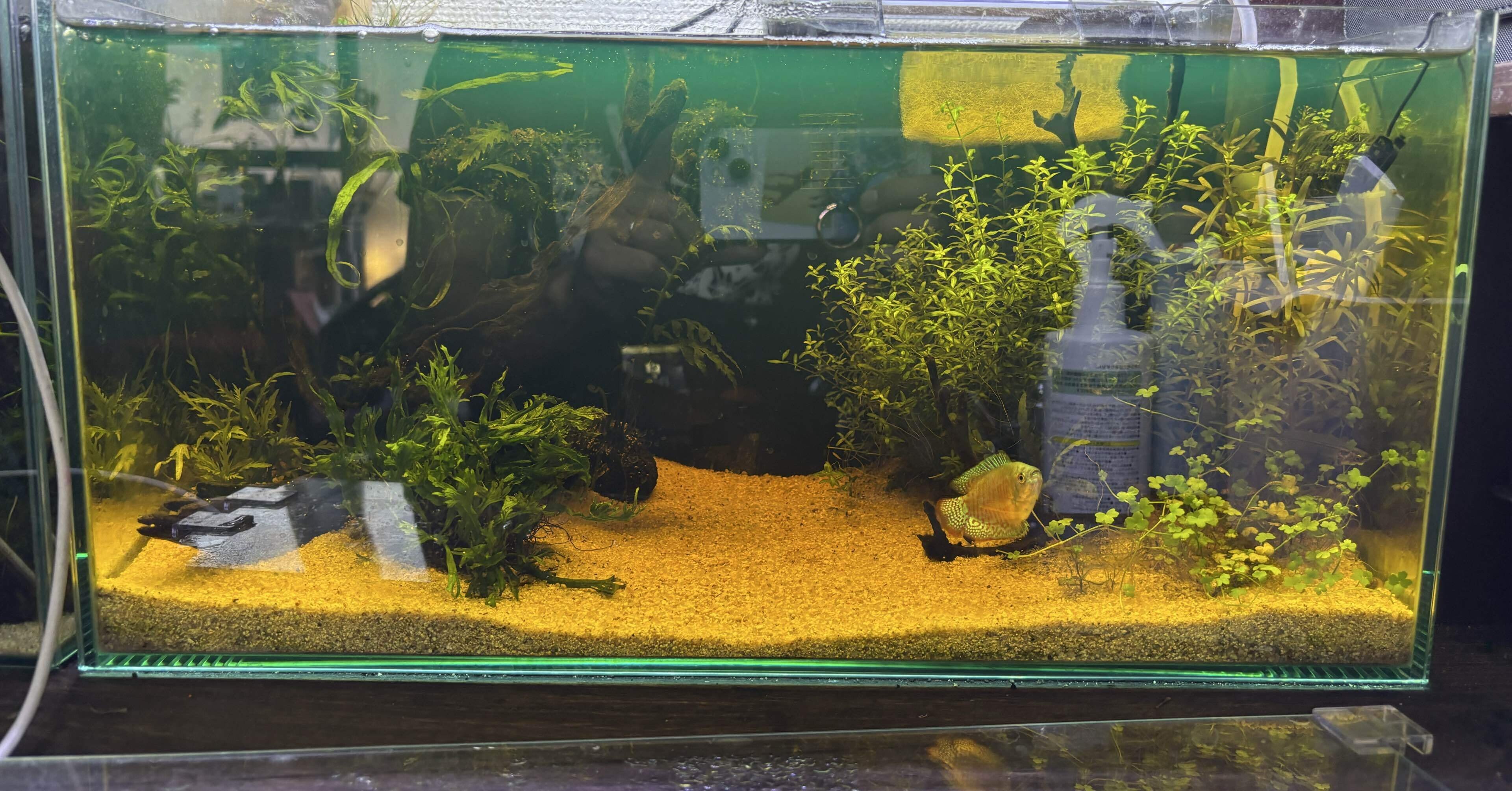 0ee30319f253c5decf3252db6f2526