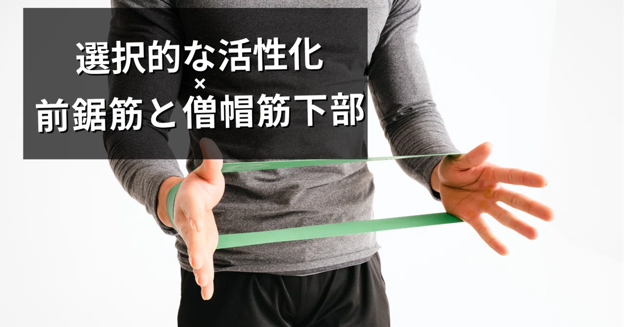 Activate the Serratus Anterior and Lower Trapezius!｜小林龍樹＠理学療法士