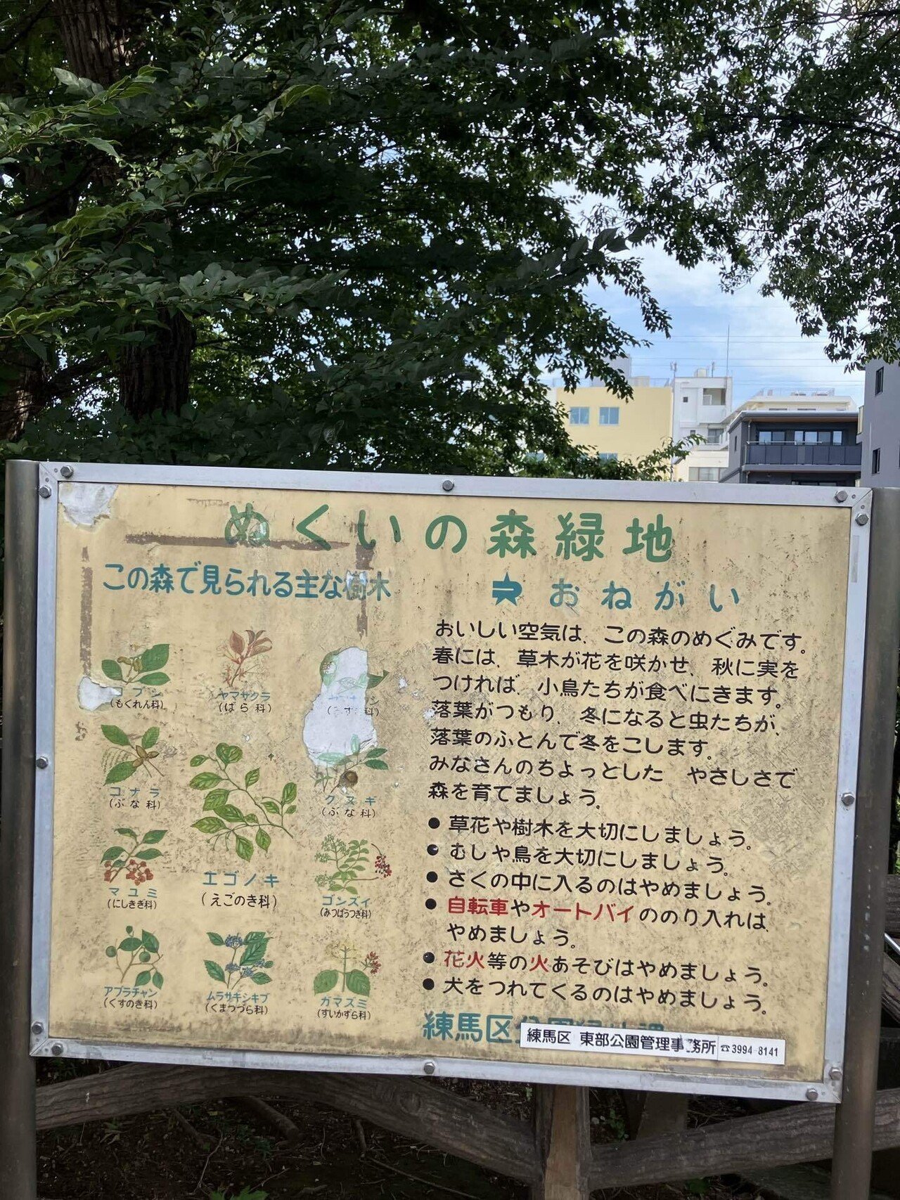 片口 越前 氷坂焼 グリーン 緑 深緑 小振り 銘 片口 越前 氷坂焼 グリーン 緑 深緑 小振り 銘 - メルカリ