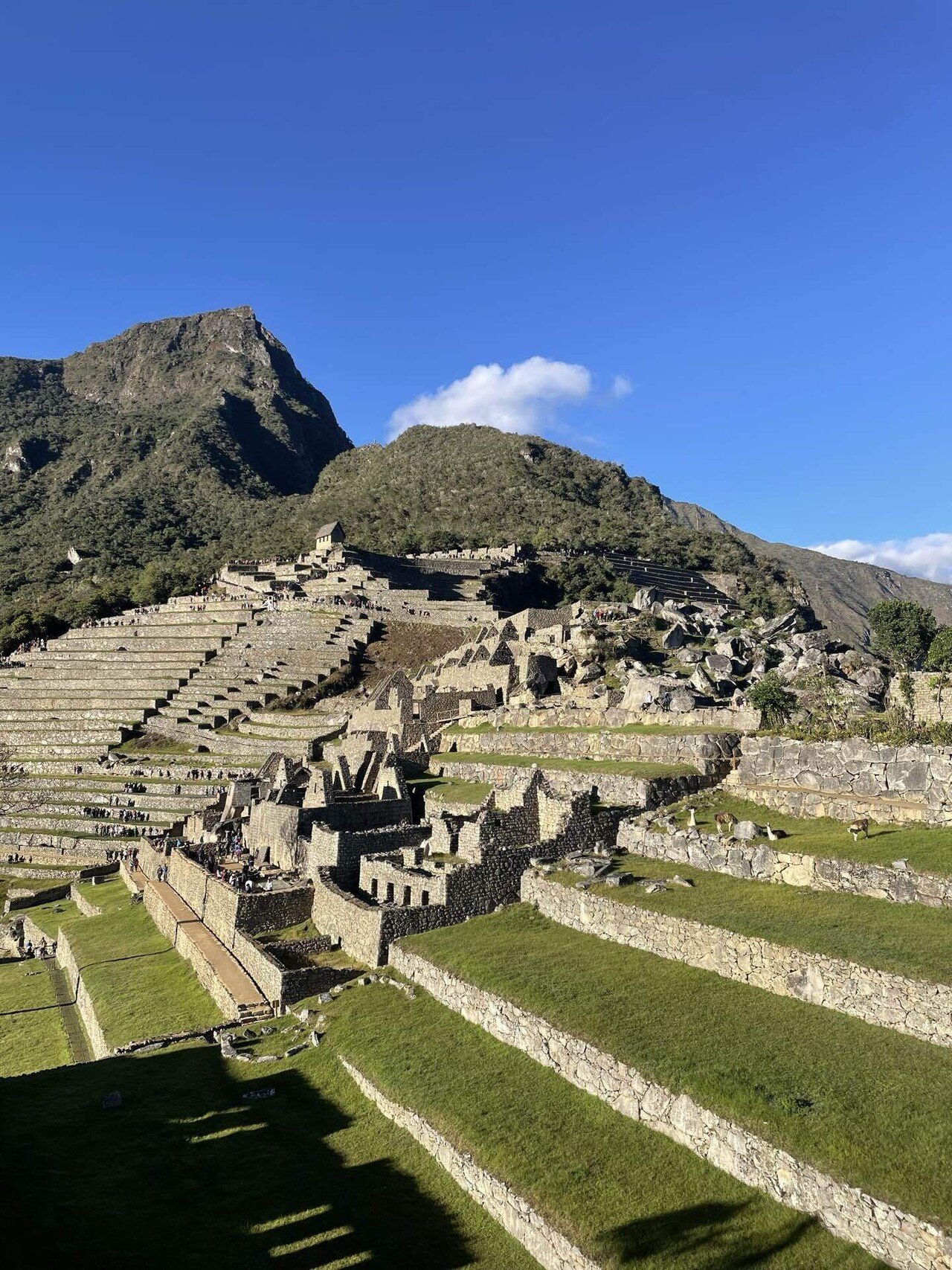 マチュピチュ（ペルー）』 世界一周Day53｜KOKIの世界一周ひとり旅