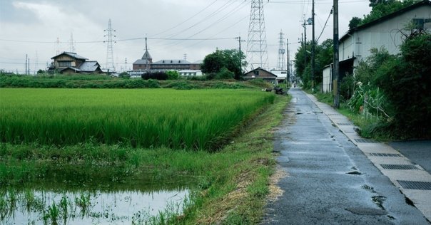 古明地洋哉/「灰と花」 Amazon.co.jp: 灰と花: Music