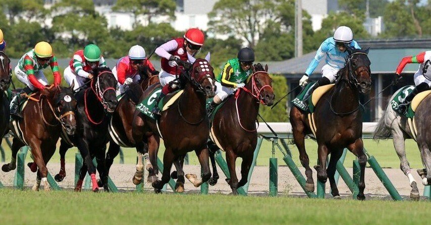 競馬ファン必見❗️ 優勝記念ボトル やま on X: 