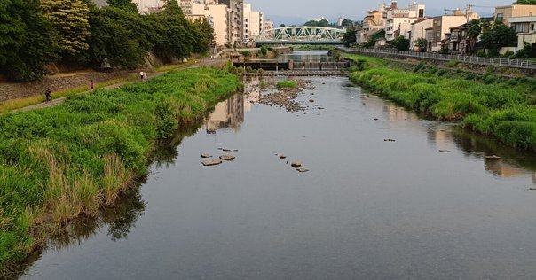 彫刻家舟越桂さんを偲んで 彫り出される生命や主体性について