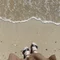 想