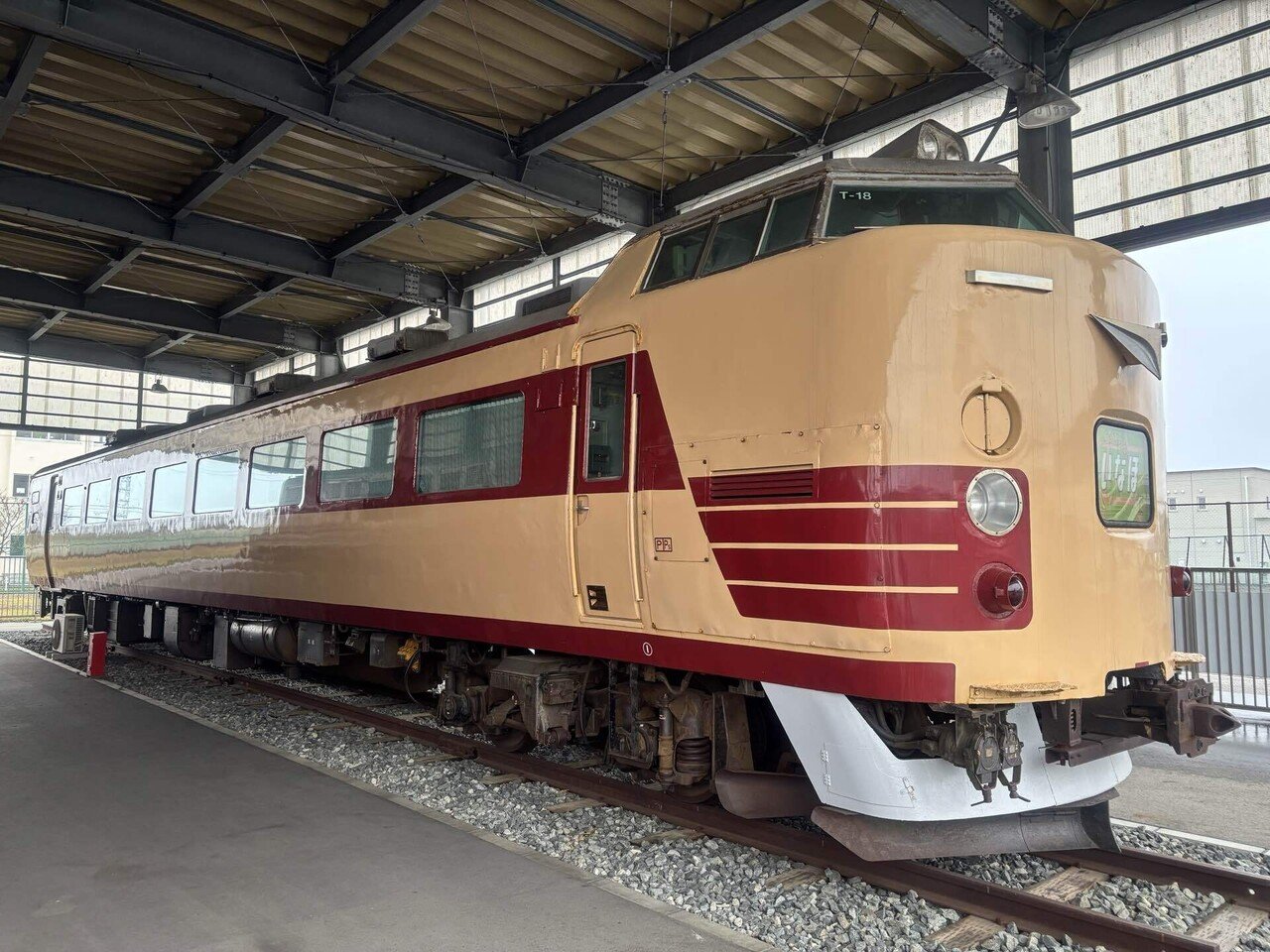 色の移ろい｜amaryllis04